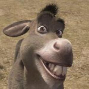 Profile photo of Stratos
